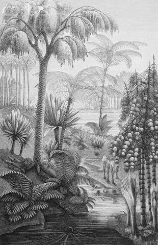 De første mutationer observeres