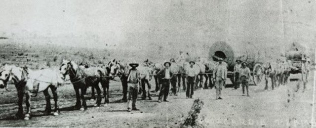 More Discoveries Follow