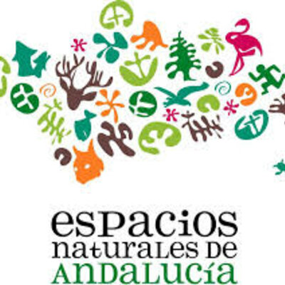 Timeline: Figuras de Protección Oficial de Andalucía