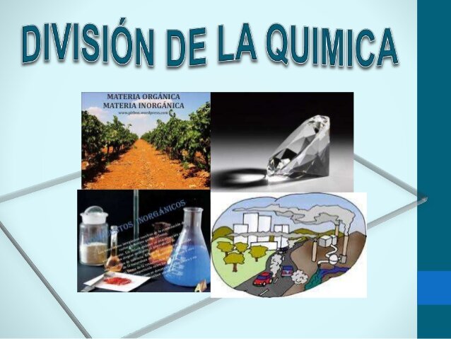 Division de la Química