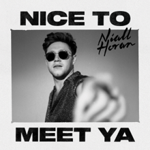 World tour "Nice to meet ya"