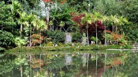 Timeline: Rainforest