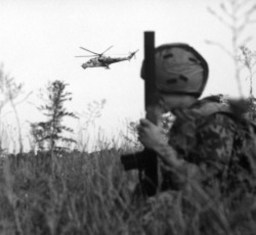 роковой бой