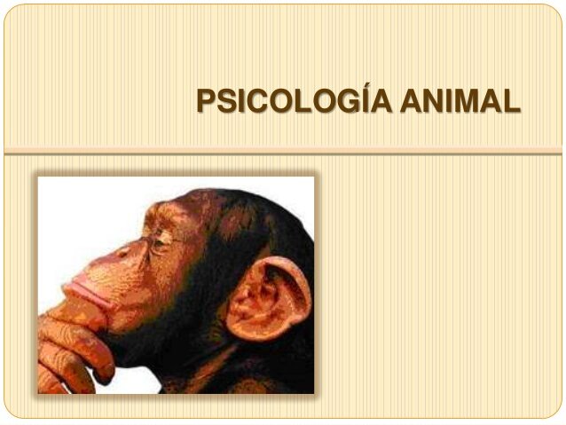 Islas Británicas y La Psicología animal