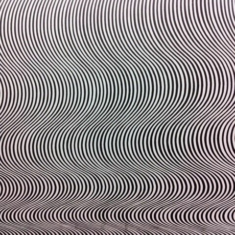 Bridget Riley, Current