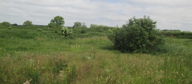 Neuvième campagne d'échantillonnage (TD26)