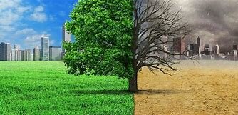 Canvis a el medi ambient