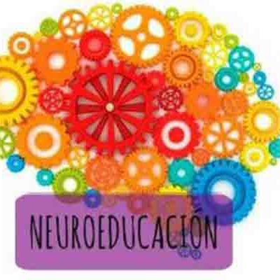 Timeline: Hitos de la Neuroeducación