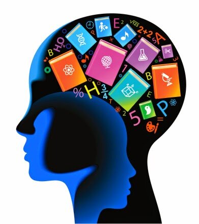 Teorías neurocientíficas del aprendizaje