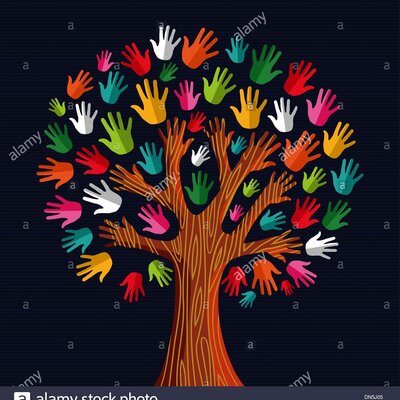 Timeline: Le Radici della Solidarietà