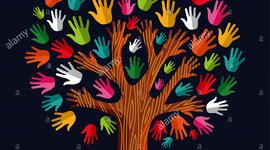 Timeline: Le Radici della Solidarietà