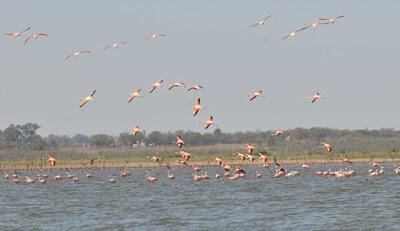 1ra Maravilla Natural