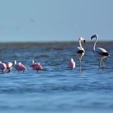 PARQUE NACIONAL ANSENUZA