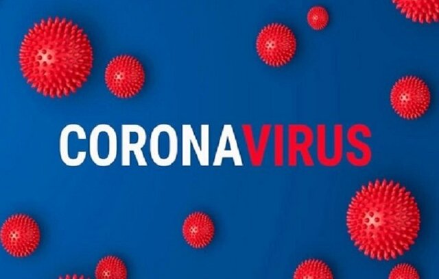 Ultimo año de primaria. Aparece el covid-19 en Argentina