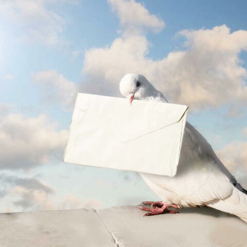 Cartas de papel o palomas mensajeras
