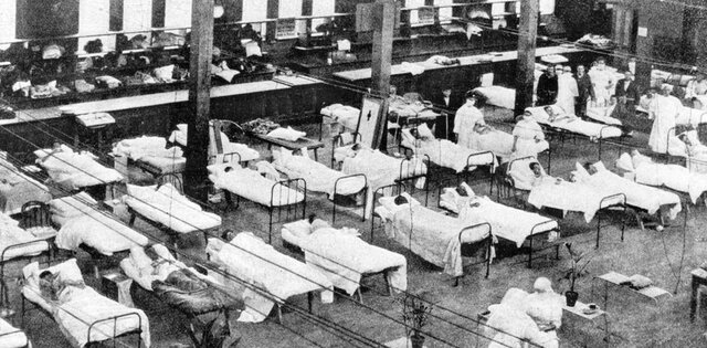 The Spanish Flu