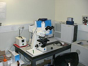 Appearance of the first compound microscopes in Europe