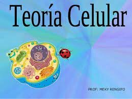 Teoría Celular