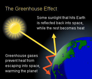 Greenhouse Effect