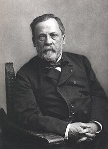 Louis Pasteur: Germ theory