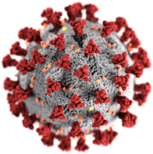tne name of virus is invented