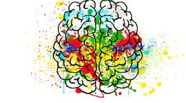 Timeline: Historia de la Neuroeducación.