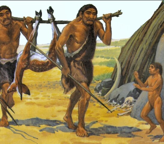 Origen de la administración