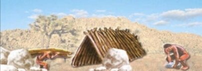 Origen de la Administración