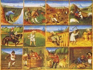 SIGLO XVII AGRICULTURA Y GANADERÍA