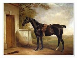 1836 – El caballo