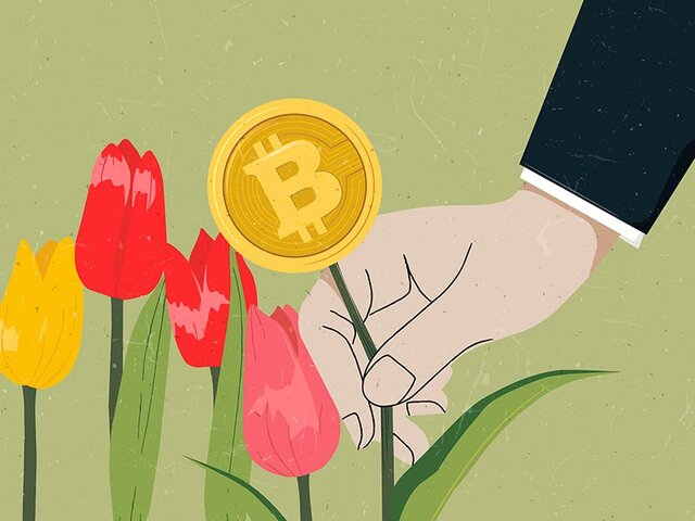 Crisis de los Tulipanes 1623-1637