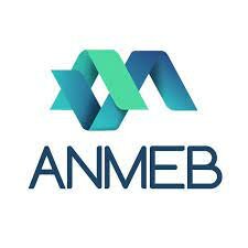 Acuerdo Nacional para la Modernización de la Educación Básica y Normal (ANMEB),