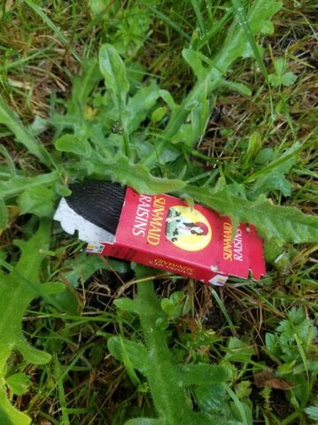 The Evironment isnt just Green