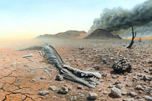 Triassic extinction