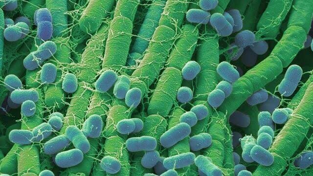 The origin of life