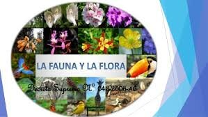 CONVENCIÓN SOBRE EL COMERCIO INTERNACIONAL DE ESPECIES AMENAZADAS DE FAUNA Y FLORA SILVESTRES