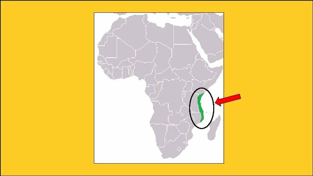 Secondary Affects of the Indian Ocean Trade in Classical Period (200 - 400 CE)