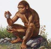 Homo habilis