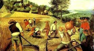 Agricultura y ganadería en haciendas