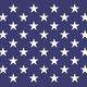 1024px naval jack of the united states.svg
