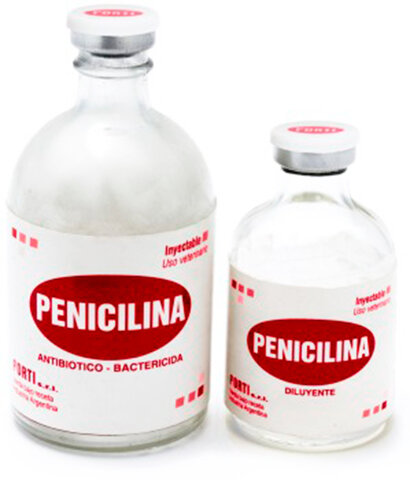 Penicilina
