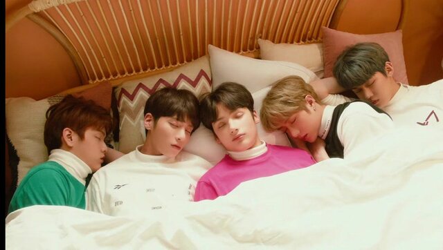 Cat & Dog Teaser (Puppy Vers.)