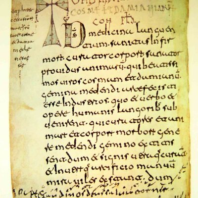 Timeline: Historia de la lingüística