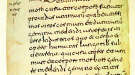 Timeline: Historia de la lingüística