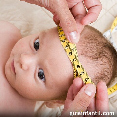 Perímetro Cefálico
