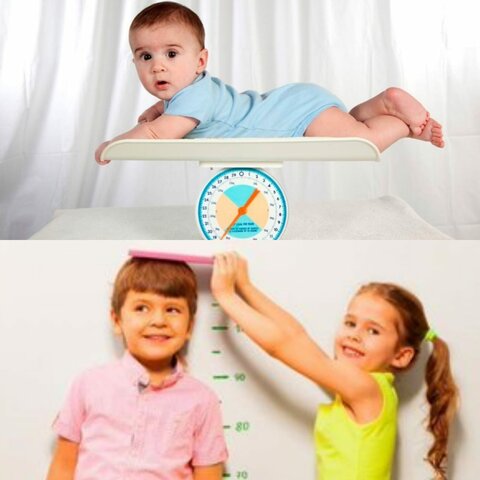 Crecimiento Talla y Masa Corporal