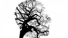 Timeline: El psicoanalisis