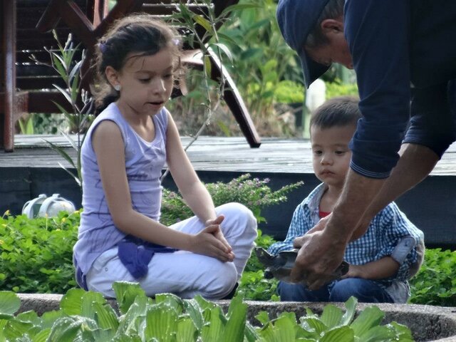 Viaje al Amazonas, Leticia