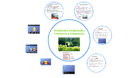 Gradientes cambiantes