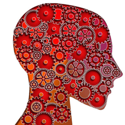 Timeline: Enfoque cognitivo conductual